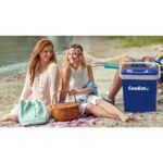 Coolist CLT18 12Volt/220Volt AC/DC 18 Litre Sıcak/Soğuk Oto Buzdolabı - Görsel 6