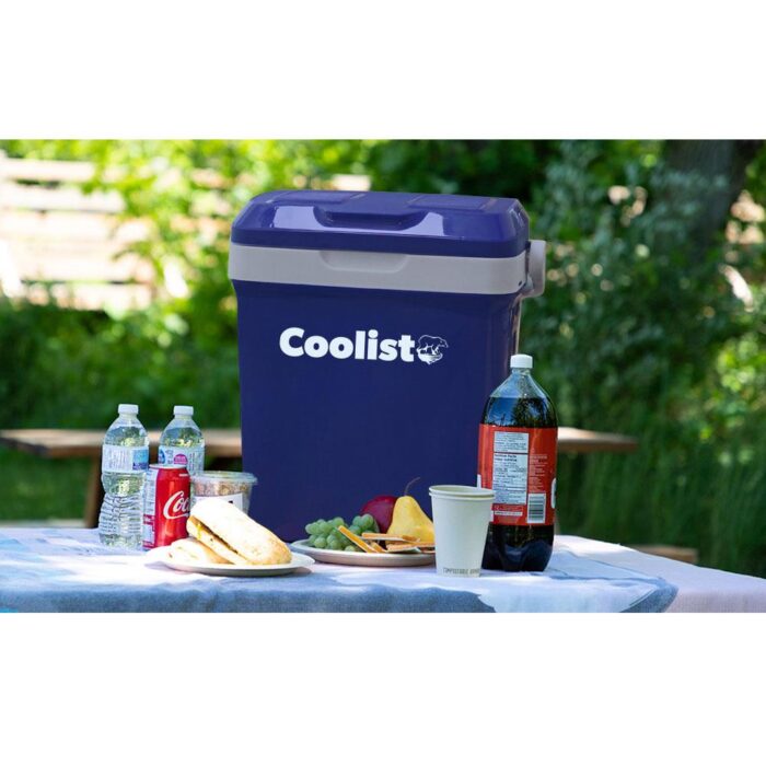 Coolist CLT18 12Volt/220Volt AC/DC 18 Litre Sıcak/Soğuk Oto Buzdolabı - Görsel 9