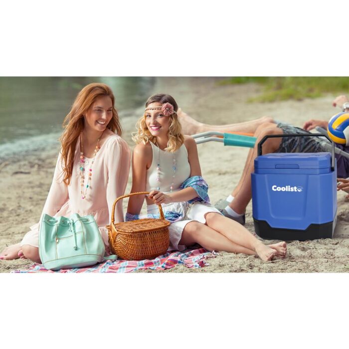 Coolist CLT33 12Volt/220Volt AC/DC 33 Litre Sıcak/Soğuk Oto Buzdolabı - Görsel 6