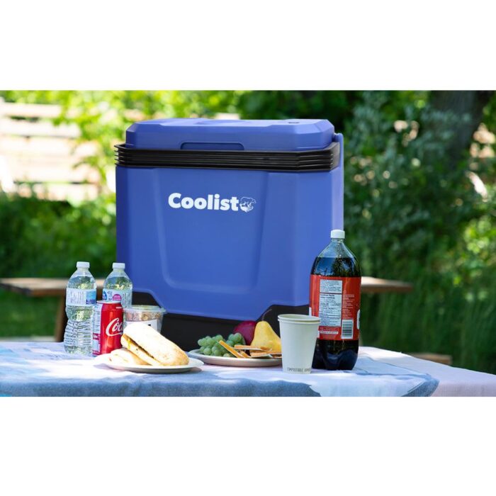 Coolist CLT33 12Volt/220Volt AC/DC 33 Litre Sıcak/Soğuk Oto Buzdolabı - Görsel 9