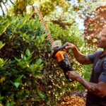 WORX WG284E 40Volt 2.0Ah Li-ion 60CM Profesyonel Çit Budama - Görsel 6
