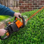WORX WG284E 40Volt 2.0Ah Li-ion 60CM Profesyonel Çit Budama - Görsel 7